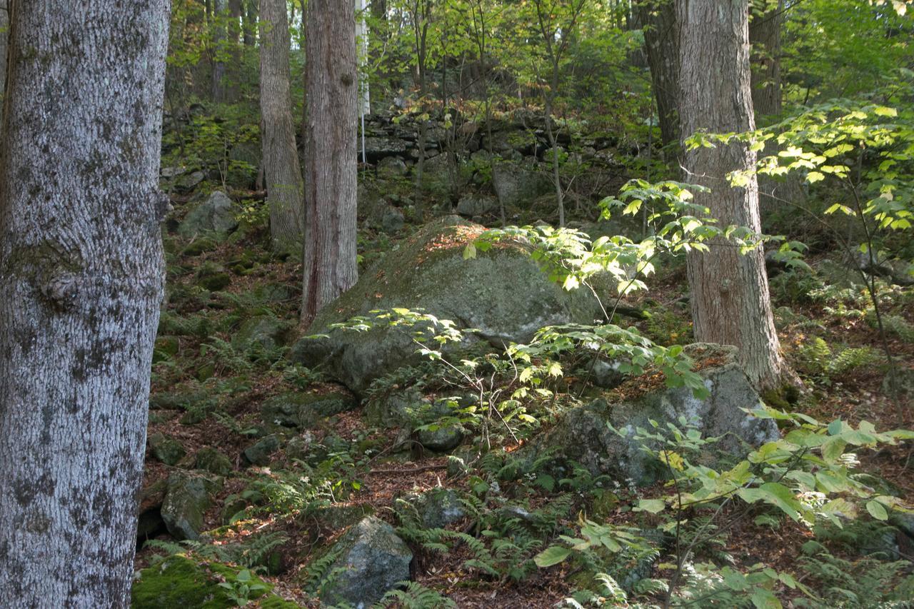 Mountain View Green Retreat Norfolk Екстериор снимка